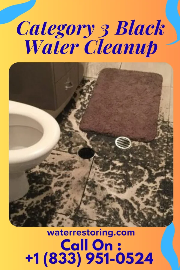 Category 3 Black Water Cleanup in East Uniontown, PA