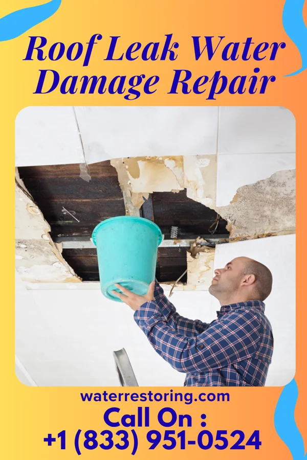 Roof Leak Water Damage Repair in East Uniontown, PA