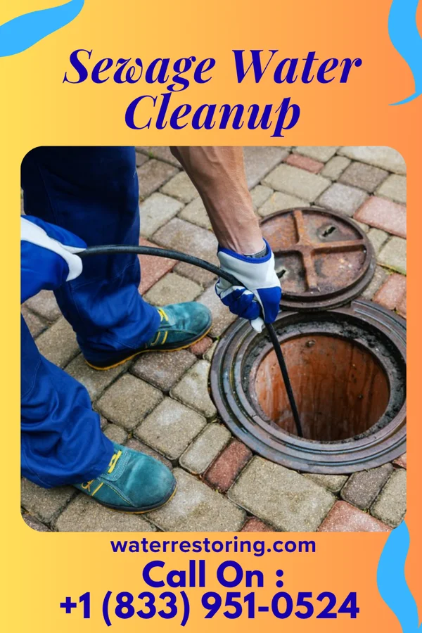 Sewage Water Cleanup in East Uniontown, PA