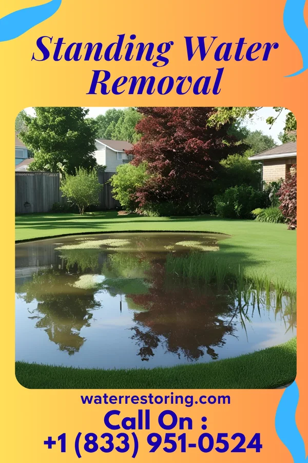 Standing Water Removal in East Uniontown, PA